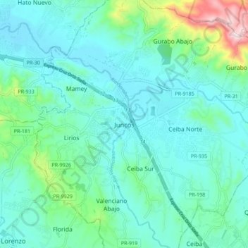 Juncos topographic map, elevation, terrain