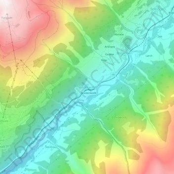 Niederwald topographic map, elevation, terrain