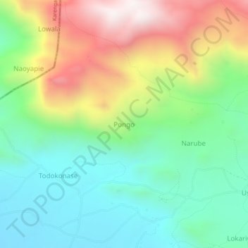 Pongo topographic map, elevation, terrain