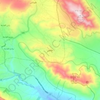 Tammun topographic map, elevation, terrain
