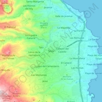 Telde topographic map, elevation, terrain
