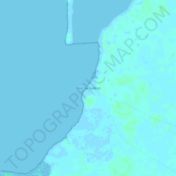 Real de Salinas topographic map, elevation, terrain