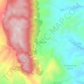 Hagnaya topographic map, elevation, terrain
