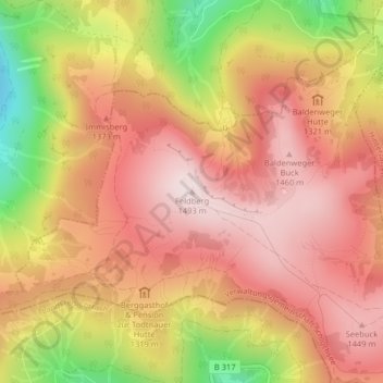 Feldberg topographic map, elevation, terrain