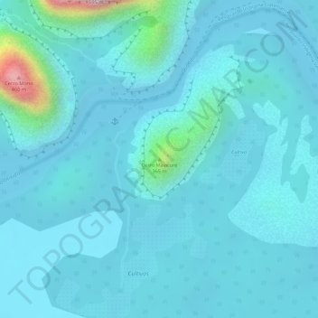 Cerro Mavicure topographic map, elevation, terrain
