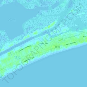 Forest Trail topographic map, elevation, terrain