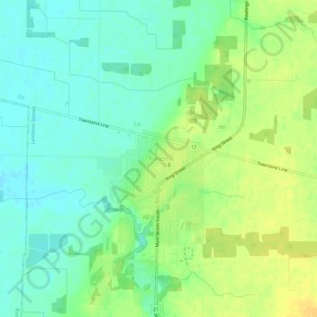 Forest topographic map, elevation, terrain