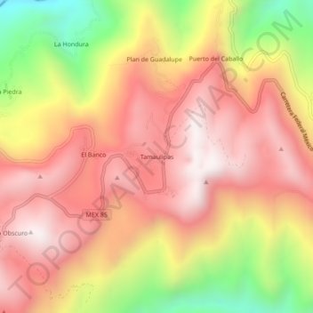 Tamaulipas topographic map, elevation, terrain