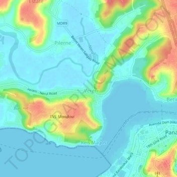 Verem topographic map, elevation, terrain