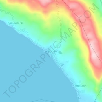 Salingogon topographic map, elevation, terrain