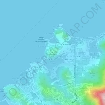 Choisy Mount topographic map, elevation, terrain