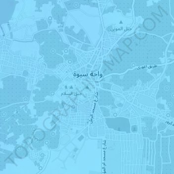 Fort Shally top view topographic map, elevation, terrain