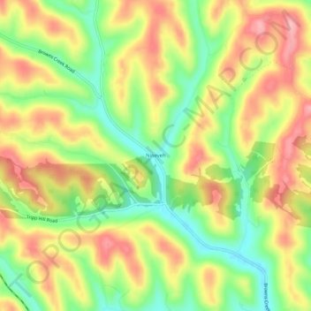 Nineveh topographic map, elevation, terrain