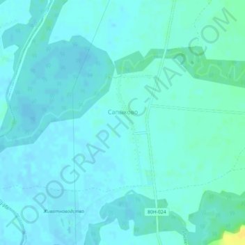 Сапыково topographic map, elevation, terrain